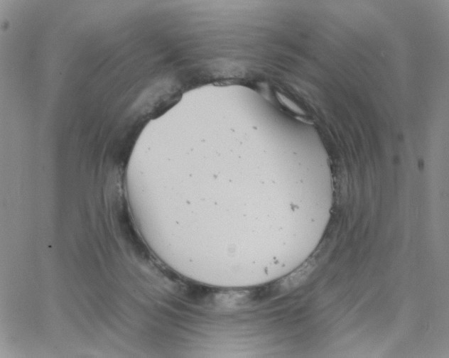 X0000064750172200603131352