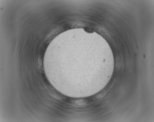 X0000064750173200603131352