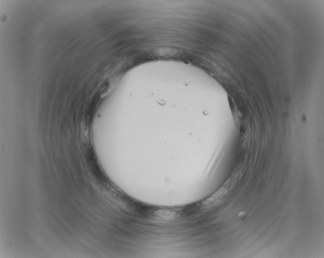 X0000064750176200603131352