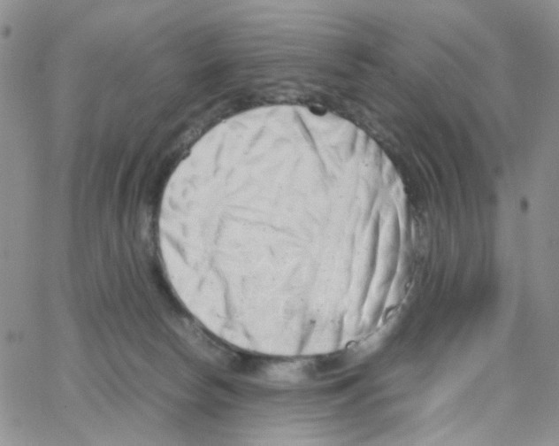 X0000064750178200603131352