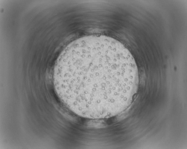 X0000064750179200603131352