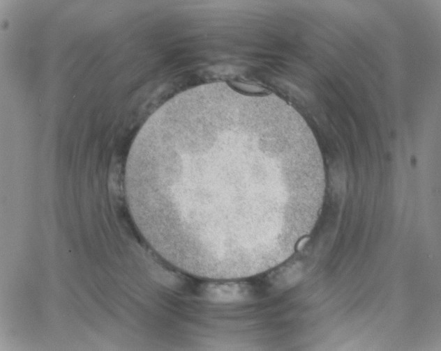 X0000064750181200603131352