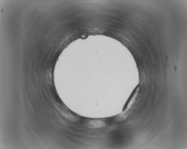 X0000064750183200603131352