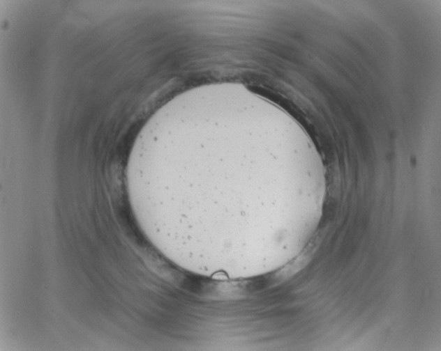 X0000064750184200603131353