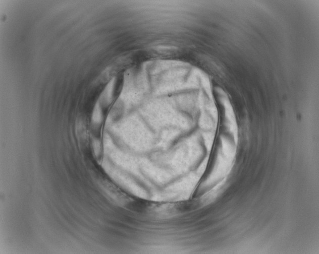 X0000064750186200603131353