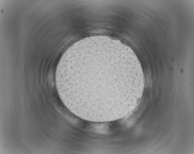 X0000064750187200603131353