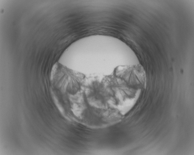 X0000064750189200603131353