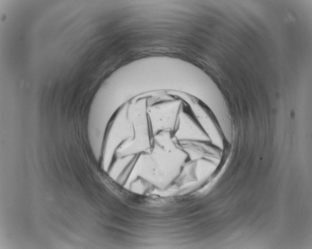 X0000064750190200603131353