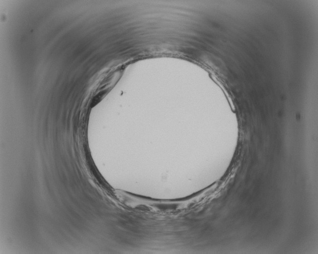 X0000064750193200603131352