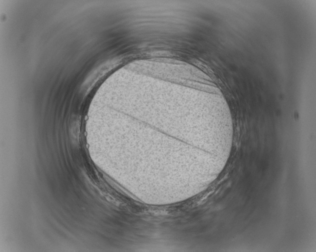 X0000064750194200603131352