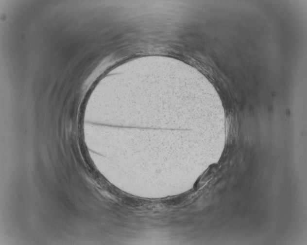 X0000064750195200603131352