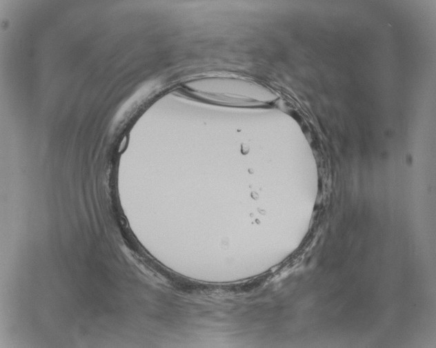 X0000064750197200603131352