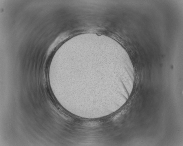 X0000064750198200603131352