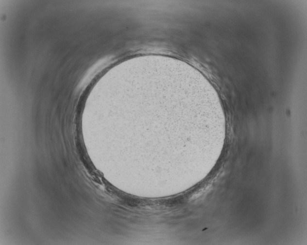 X0000064750199200603131352