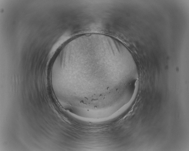 X0000064750200200603131352