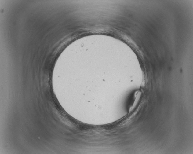 X0000064750201200603131352