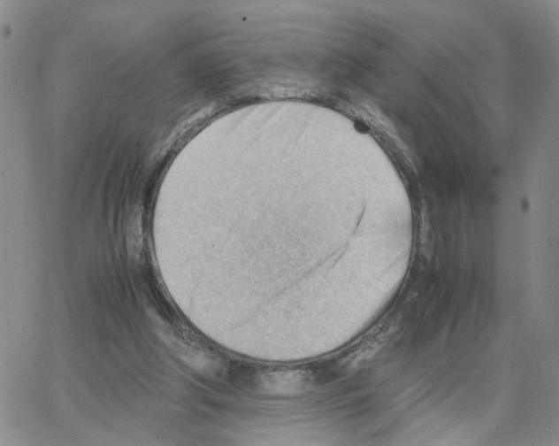 X0000064750202200603131352