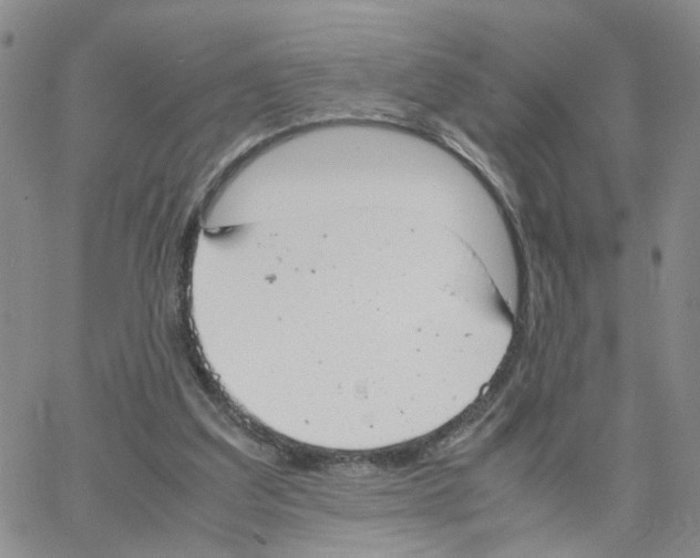 X0000064750203200603131352