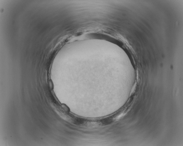 X0000064750205200603131352