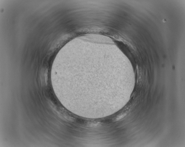 X0000064750206200603131352