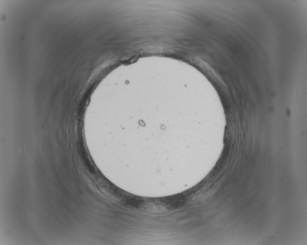 X0000064750207200603131352