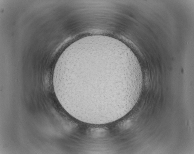 X0000064750208200603131352