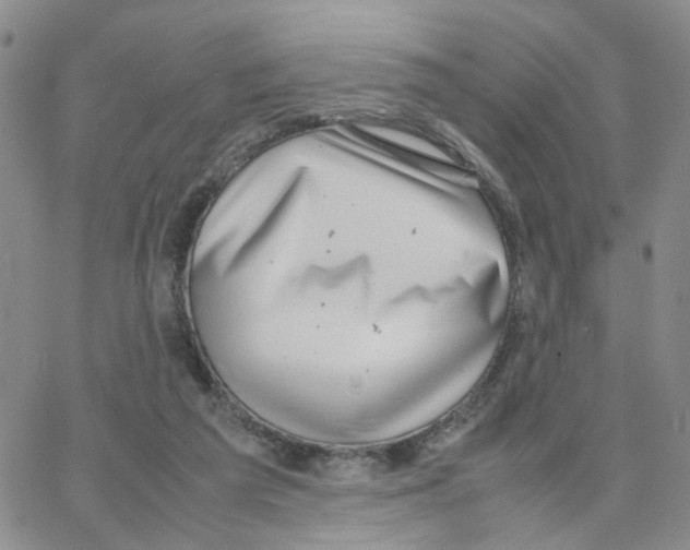 X0000064750209200603131352