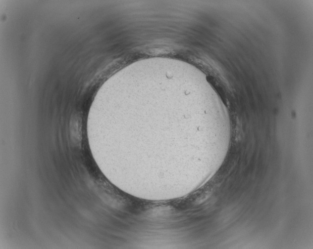 X0000064750210200603131352