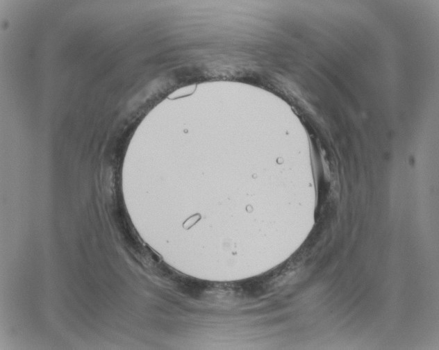 X0000064750211200603131352