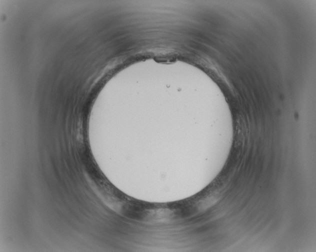 X0000064750212200603131352