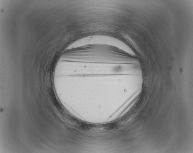 X0000064750213200603131352