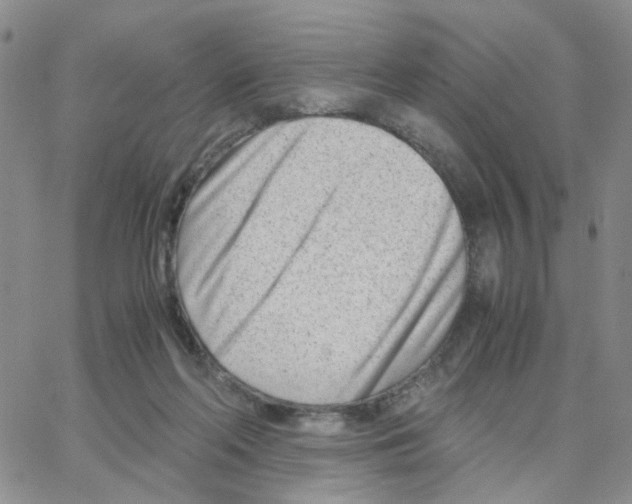 X0000064750214200603131352