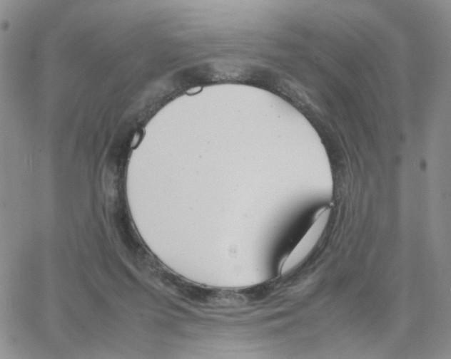 X0000064750215200603131352