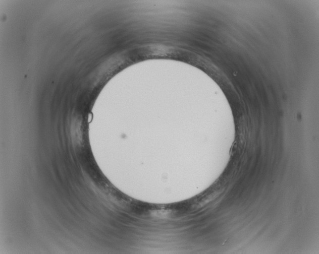 X0000064750216200603131351