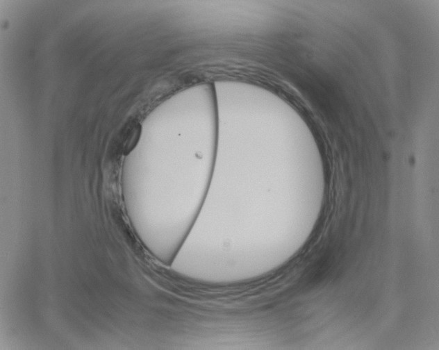 X0000064750217200603131351