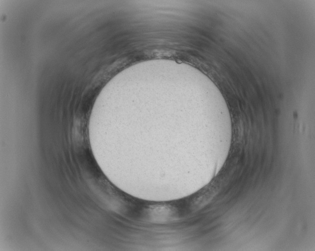 X0000064750218200603131351