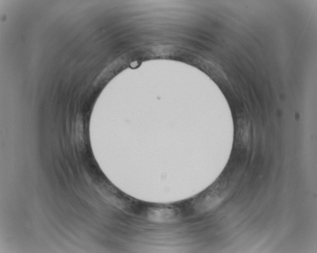 X0000064750220200603131351