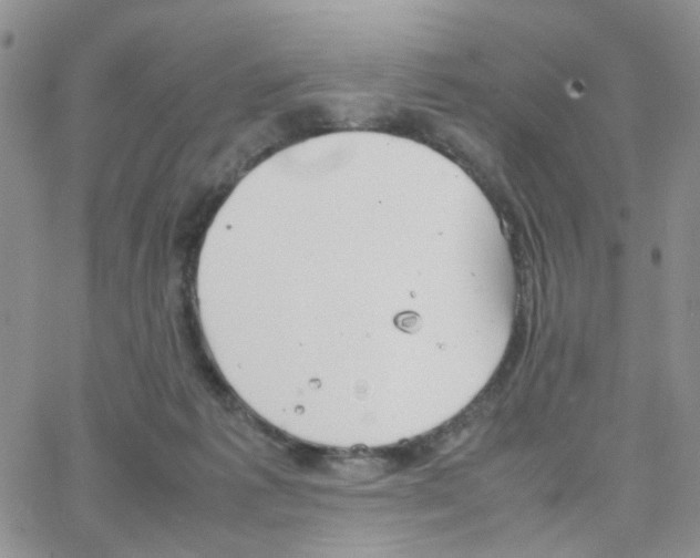 X0000064750221200603131351