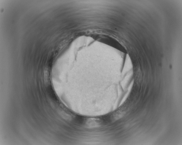 X0000064750222200603131351