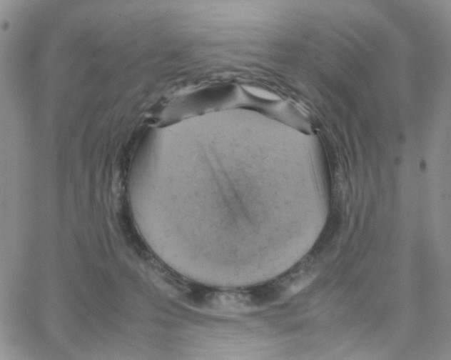 X0000064750223200603131351