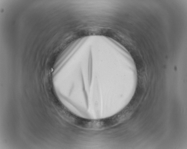 X0000064750225200603131351