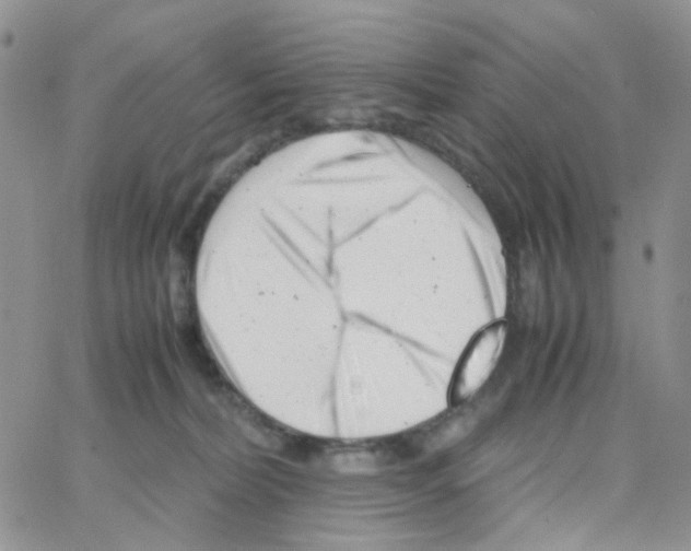 X0000064750228200603131351