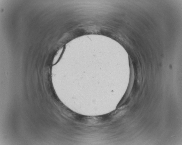 X0000064750229200603131351