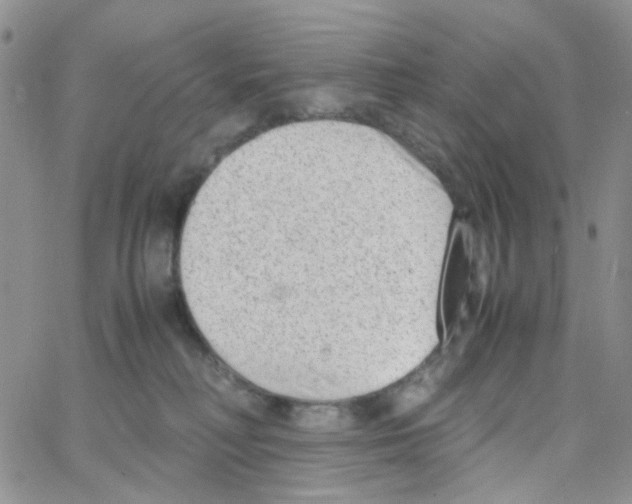 X0000064750230200603131351