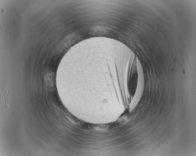 X0000064750232200603131351