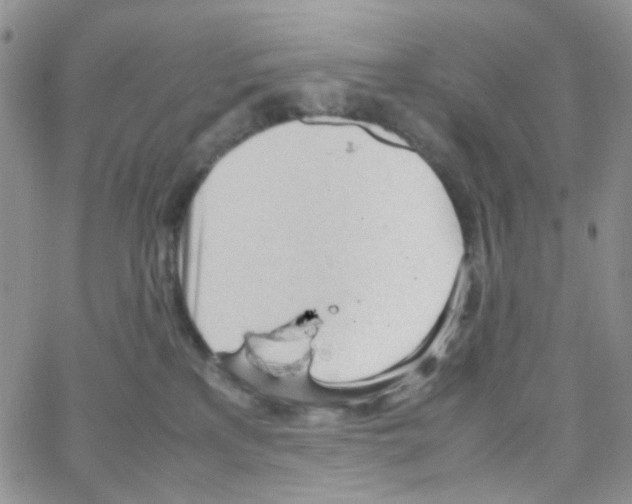 X0000064750233200603131351