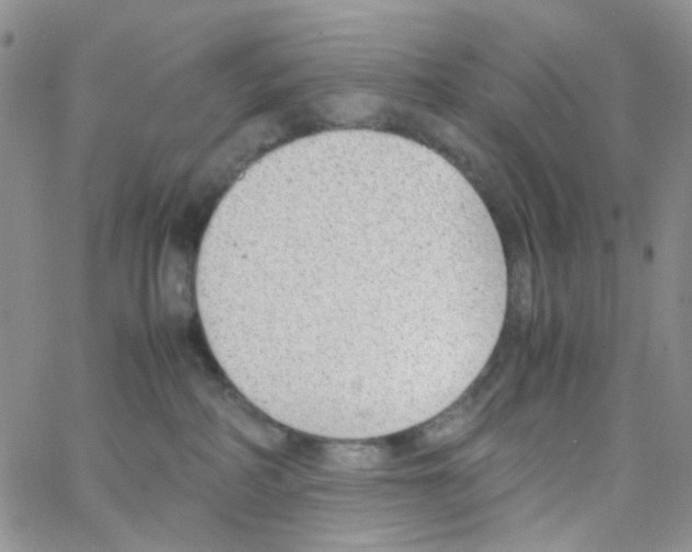 X0000064750234200603131351