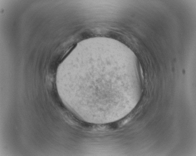 X0000064750235200603131351