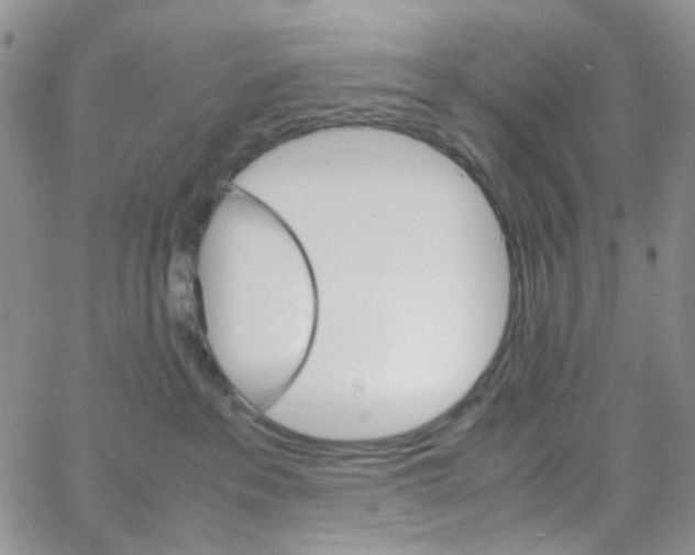 X0000064750237200603131351