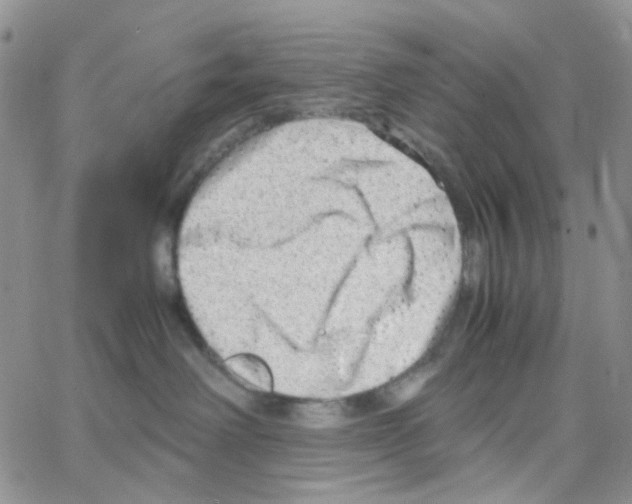 X0000064750238200603131351